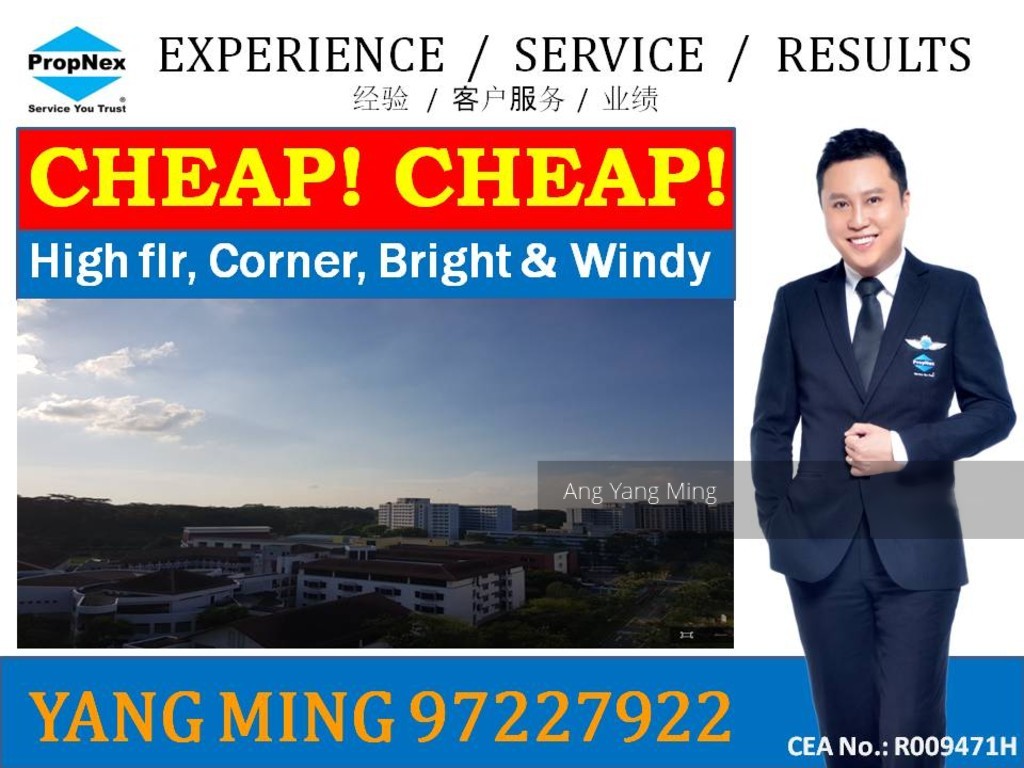 Jurong West Street 81 thumbnail photo